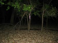 Chicago Ghost Hunters Group investigates Robinson Woods (86).JPG